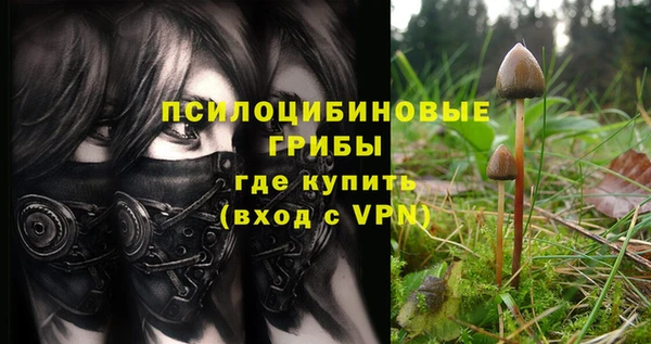 первитин Медногорск